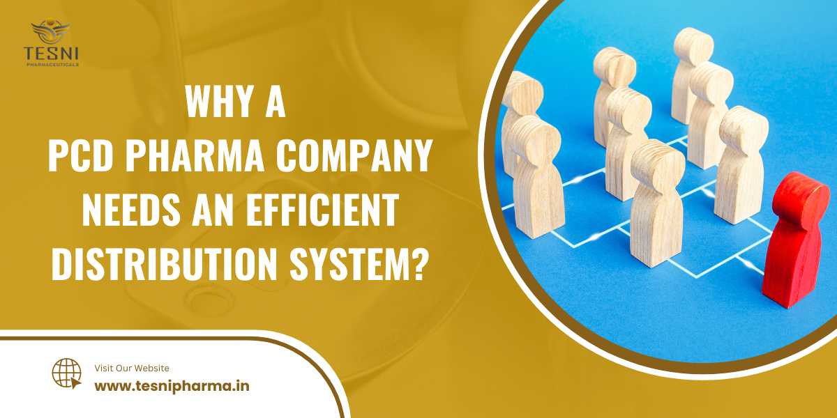 PCD Pharma Company Needs an Efficient Distribution System